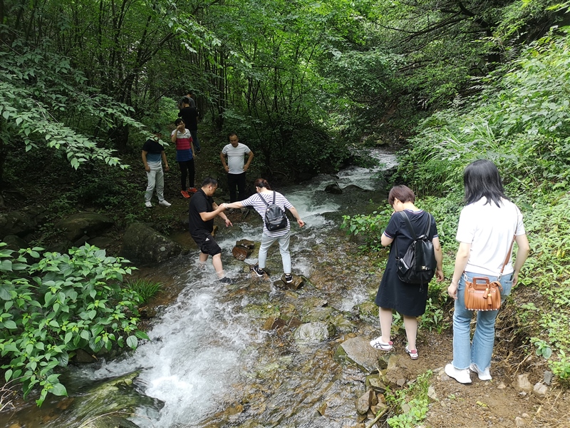 ���݅^(q��)���Y���F(tu��n)�_չ�cף���h98����ϵ�мo(j��)����(d��ng)(�D5)